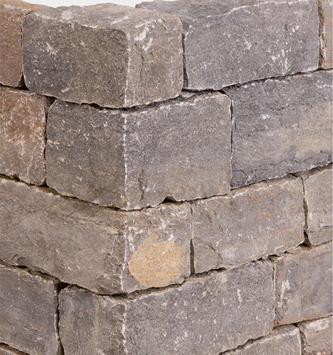 FRÄNKISCHER MUSCHELKALK